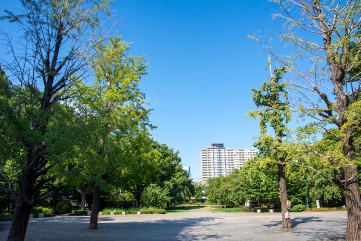 自然の多い公園